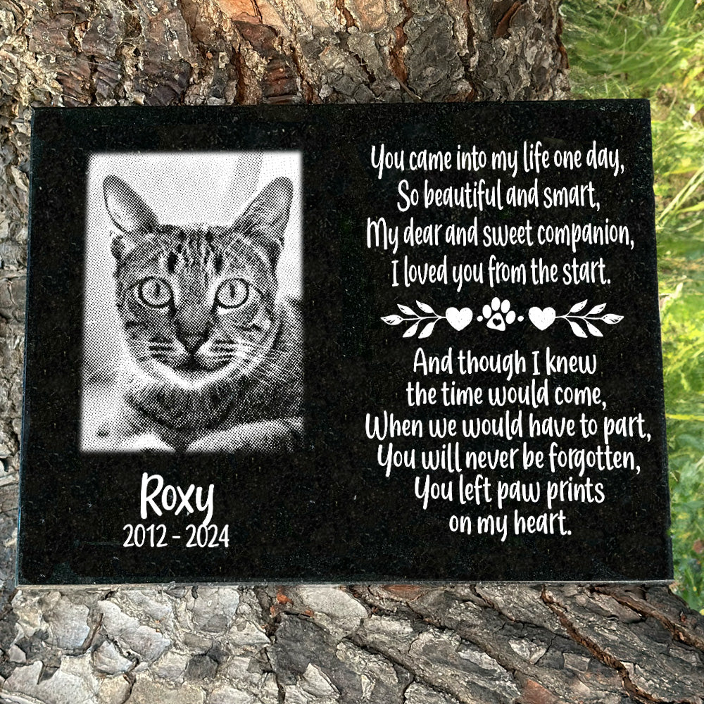 Cat Outdoor Granite Memorial Plaque You Came into my life one day