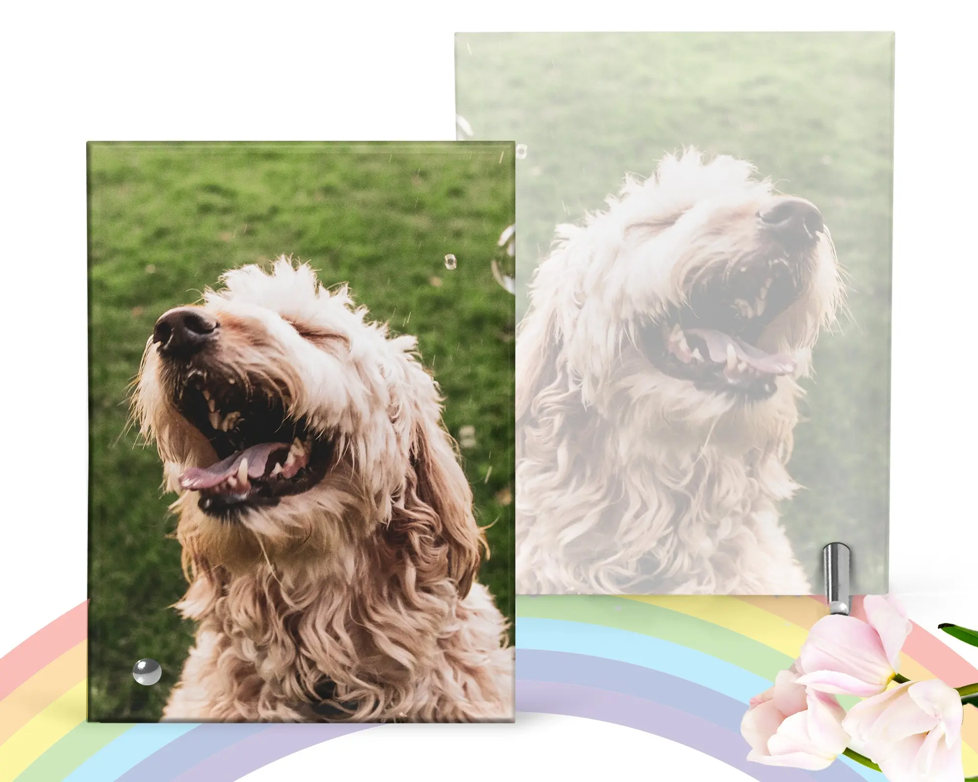 Pet Glass Picture Frame   Pet Remembrance Photo